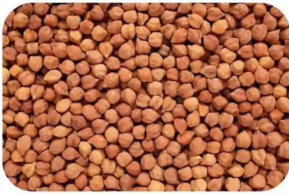Black Chickpeas (Black Chana)