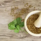 Coriander-Powder-Benefits
