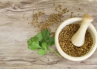 Coriander Powder Benefits: 10 Powerful Health, Skin & Kitchen Uses