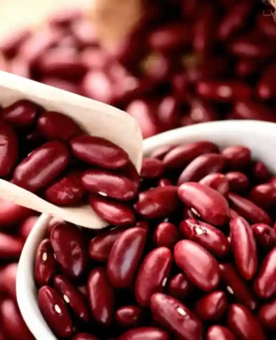Kidney Beans (Raajmaa)